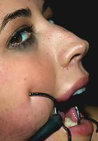 Bonus Update: Part 2 of the Nov live feed