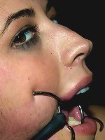 Bonus Update: Part 2 of the Nov live feed