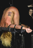 Bonus Update: Part 2 of the Nov live feed