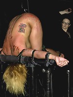 Bonus Update: Part 2 of the Nov live feed