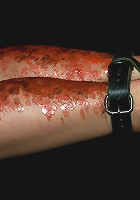 Bonus Update: Part 2 of the Nov live feed