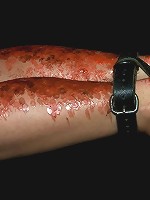 Bonus Update: Part 2 of the Nov live feed