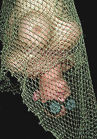 Penny Play's Anal Facial Humiliation Day