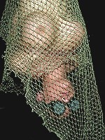 Penny Play's Anal Facial Humiliation Day