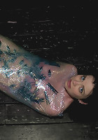 Starring Sybil Hawthorne