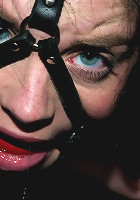 Starring Sybil Hawthorne