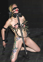 Rain Degre, Trina Michaels Live