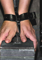 Starring Claire Adams,