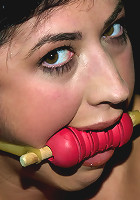 Starring Claire Adams,