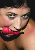 Starring Claire Adams,