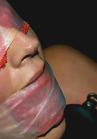 Starring Claire Adams,