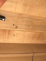 Curiosity Wrecked the Pretty Girl