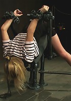 I Wonder What Other Noises You Make