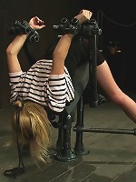 I Wonder What Other Noises You Make