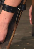 Strapped down and ready to ride.