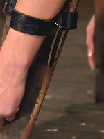 Strapped down and ready to ride.