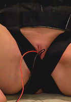 Ariel X. Enough said.