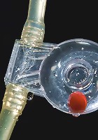 Anal Antics... Lilla gets a bit 