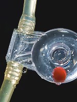 Anal Antics... Lilla gets a bit 