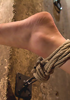 Is that the Hottie from Gossip Girl, bound, spread, caned ass fucked and made to cum and cum!?!