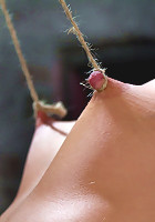Predicament Category 5 bondage. Pulled back by hair tie, pulled forward by nipples!
