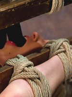 19yr old Lily LaBeau looks like that Gossip Girl blond.Anally fucked, made to cum over and over.