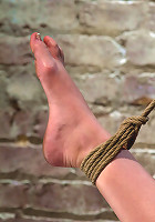 Bound with her leg up and wet pussy exposedthis beautiful thing is made to cum over and over.