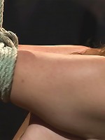 Thigh Highs and Cotton PantiesWe're going to Hell