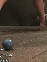 Girl next door gets bound spread, pussy floggedNipples tortured, made to cum like a common whore