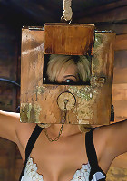 Boxed up and carted around... Tara Lynn Fox