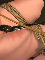 Welcome the new Category 5 girl Ivy Mokhov