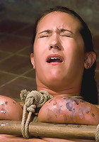 Tongue Tied & Tit Tormented Trina Michaels