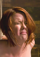 Denial of Service Attack: Lilla Katt NOT allowed to orgasm