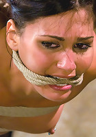 Jade Indica fucks her own ass in suspension!