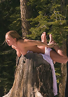 Exiled From Dick Mountain, pt 5... The finale