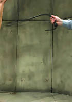 Calico: Sex Addict! Can she be cured? Why would we want that?