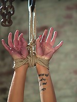 Extreme pussy torture on the wooden horse.Hard flogging, a brutal zipper and now it's fun.