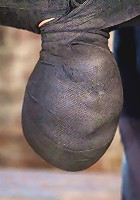 Cute little blond girl is mummified, vibrator stuck on her clit. Hung upside down to cum & cum.