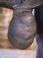 Cute little blond girl is mummified, vibrator stuck on her clit. Hung upside down to cum & cum.