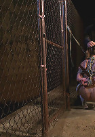 Pigtailed girl with thigh highs is bound, made to suck & swallow cockBrutal BJ. Suck it bitch.