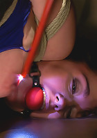 Sammy Grand and the Bush