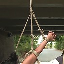 Super Hot Euro Babe Disgraced in the Streets