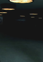 Harmony Rose is Back