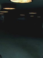 Harmony Rose is Back