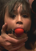 Sasha Yung - The Almost Virgin