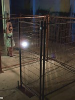 Interrogation of Ten