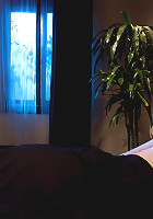 The Debt Collectors II