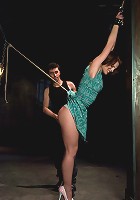 Riley Shy: A Bonus Update!