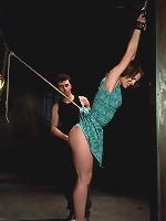 Riley Shy: A Bonus Update!