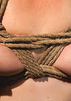 The Training of Lilla Katt, Day Three